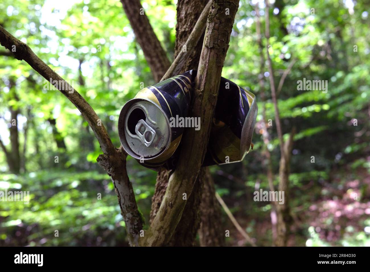 Aluminiumstreuhänderrückstand in Waldbaum England, Vereinigtes Königreich Stockfoto