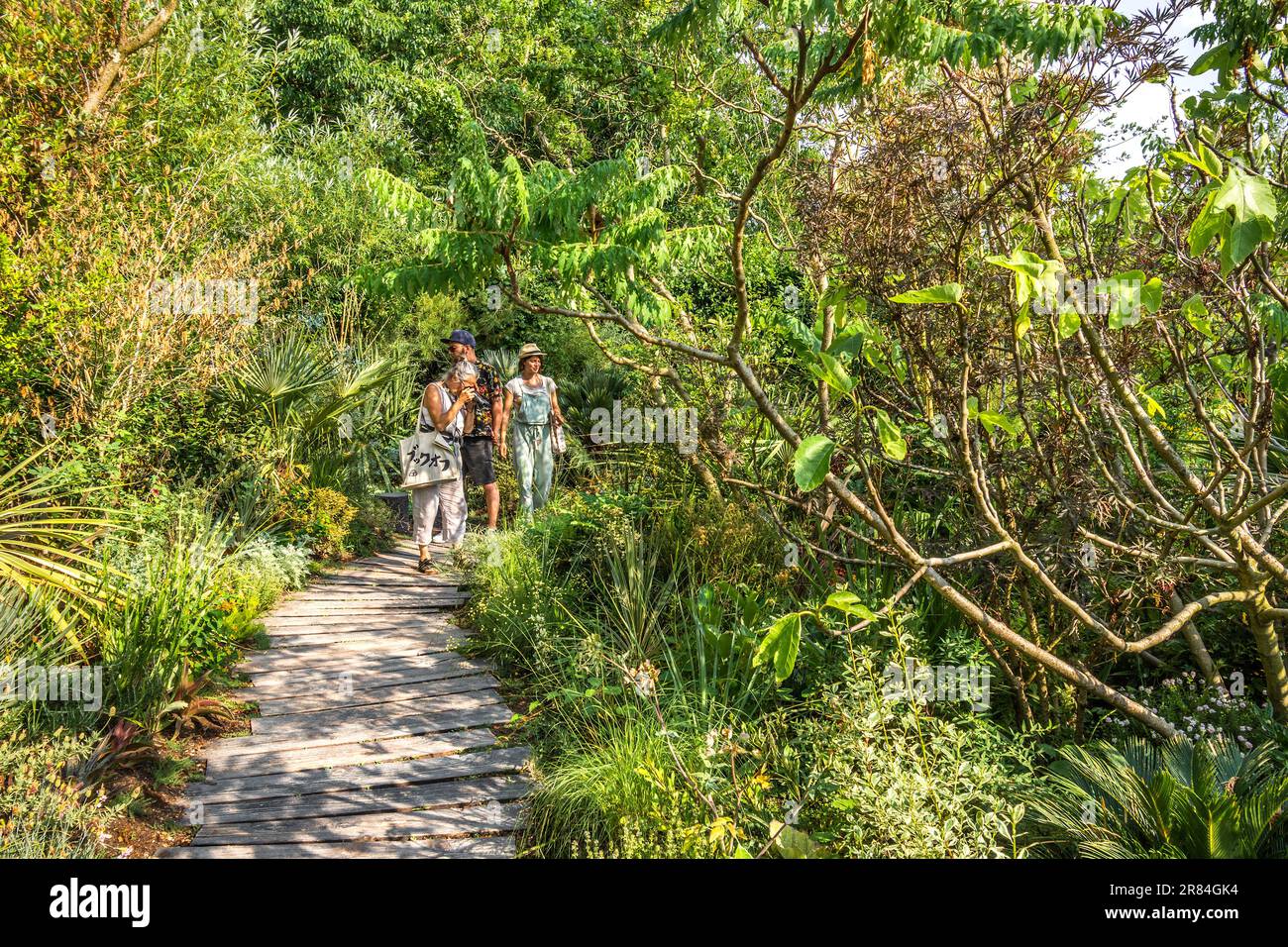 Themenbereich „Jardin de l'Espoir“ / „Garten der Hoffnung“ der Gärten der Domaine de Chaumont-sur-Loire, Loir-et-Cher (41), Frankreich. Stockfoto