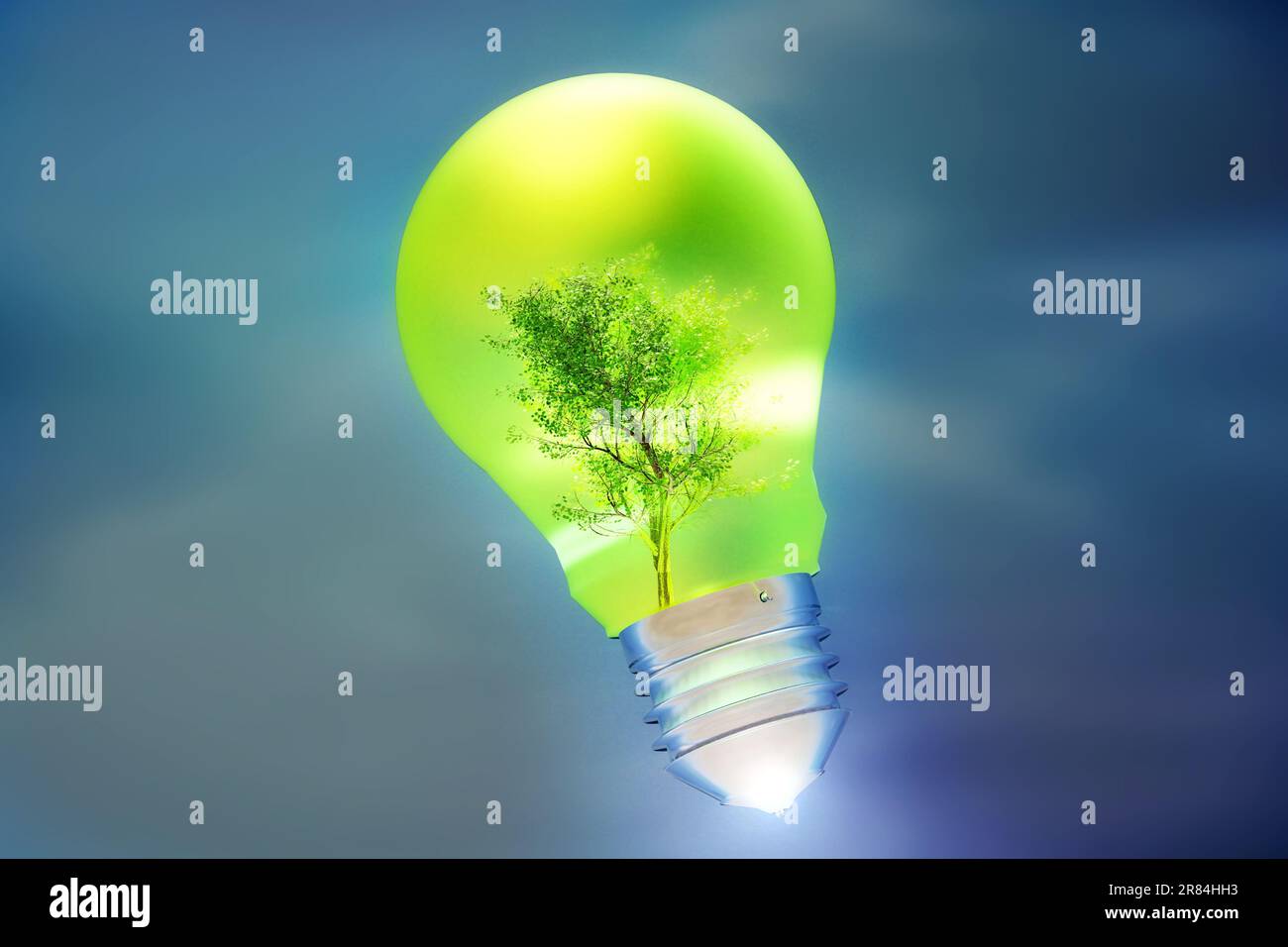 Umweltfreundliches Konzept für erneuerbare grüne Energien. Umweltschutz, Nachhaltige Energiequellen. Umweltfreundlicher Baum im Inneren der Glühbirne. Stockfoto