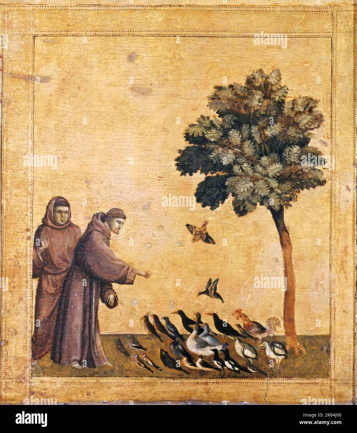 Giotto -- der Heilige Franziskus predigt den Vögeln, Predella des Heiligen Franziskus von Assisi erhält die Stigmatta 1295 Stockfoto