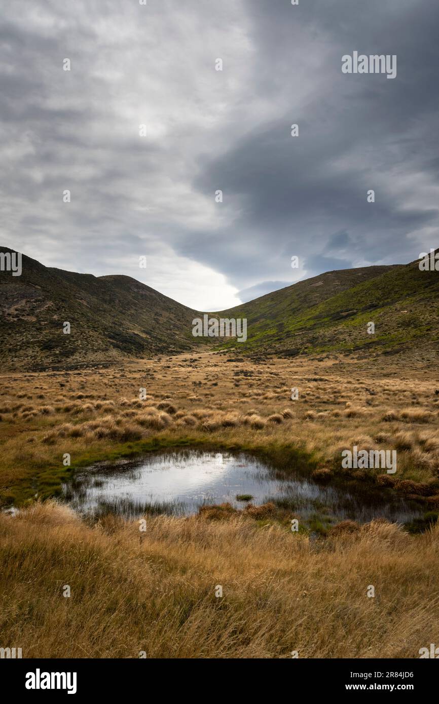 Sturmwolken über den Bergen, Peters Valley, St. James Station, in der Nähe von Hanmer Springs, Canterbury, Südinsel, Neuseeland Stockfoto