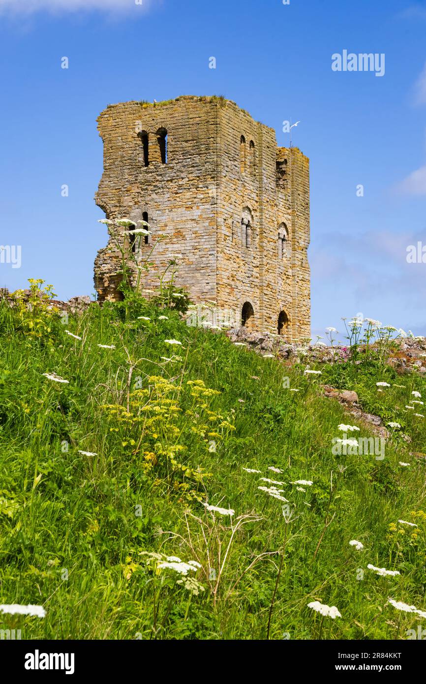 Der Hügel der mittelalterlichen Burg, Scarborough, North Yorkshire, England Stockfoto