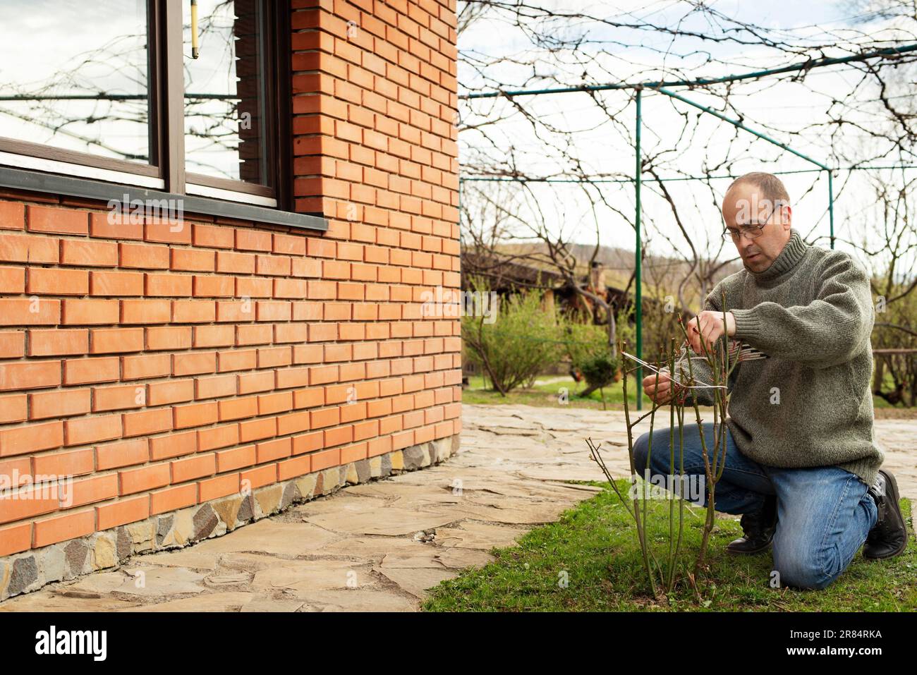 Kaukasischer Gärtner, der im Frühling im Garten Rosenstrauch schneidet Stockfoto