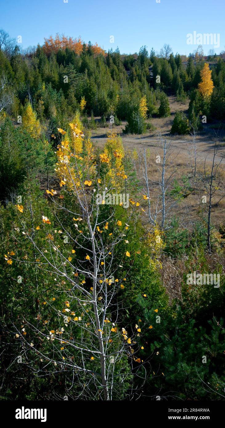 Blick aus der Vogelperspektive auf die zurückgewonnenen Streifenminen in Ontario im Herbst. Farbenfrohe Outdoor-Szene Stockfoto