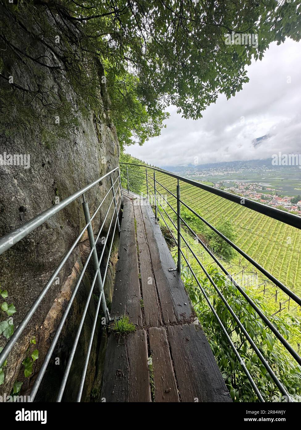 Waalweg und Wanderweg in Südtirol Stockfoto