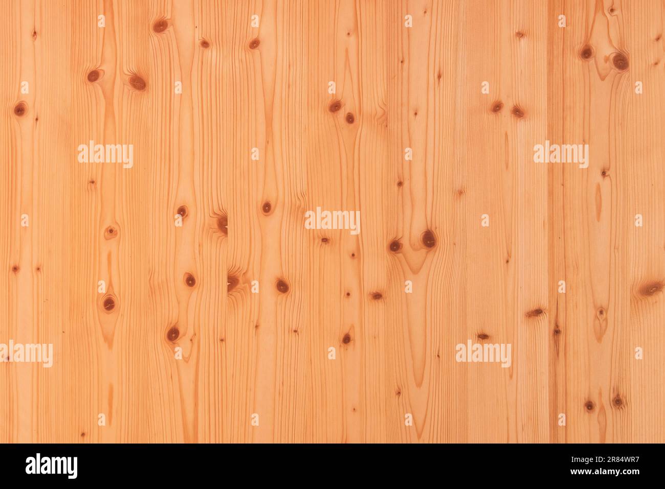 Große Oberfläche von Pinienholzplatten als Hintergrund Stockfoto