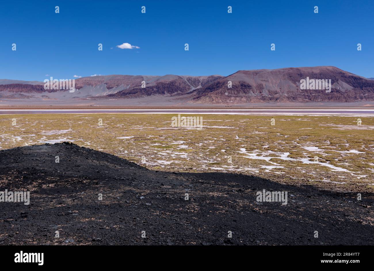 Argentinien: Puna - Offroad-Abenteuer rund um Laguna Carachi Pampa, eine surreale und wunderschöne Landschaft umgeben von vulkanischen Felsen und Sanddünen Stockfoto