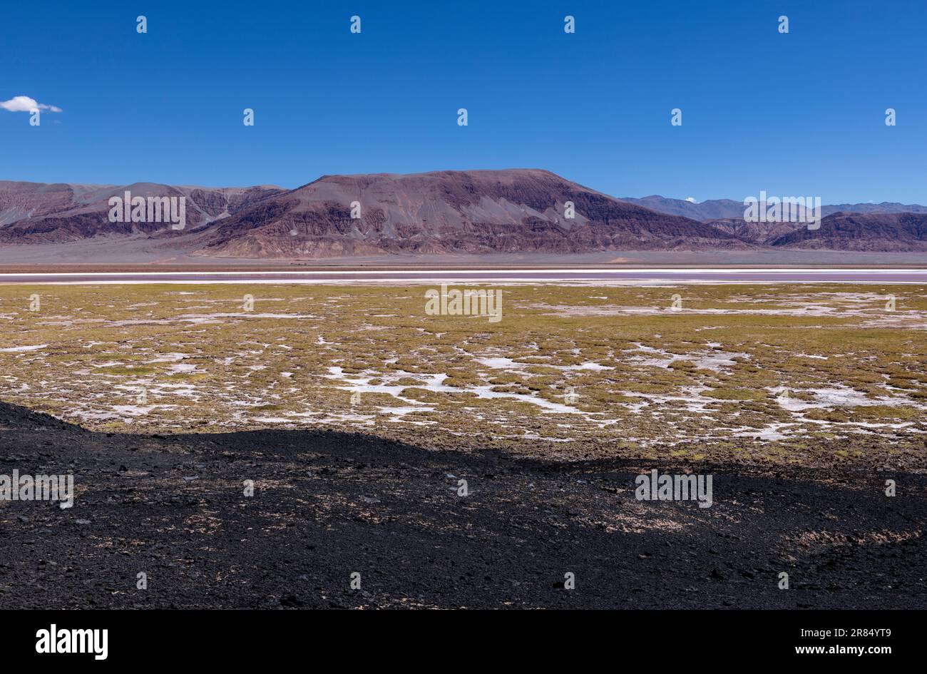 Argentinien: Puna - Offroad-Abenteuer rund um Laguna Carachi Pampa, eine surreale und wunderschöne Landschaft umgeben von vulkanischen Felsen und Sanddünen Stockfoto