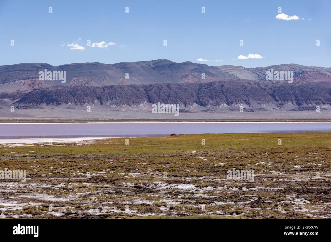 Argentinien: Puna - Offroad-Abenteuer rund um Laguna Carachi Pampa, eine surreale und wunderschöne Landschaft umgeben von vulkanischen Felsen und Sanddünen Stockfoto