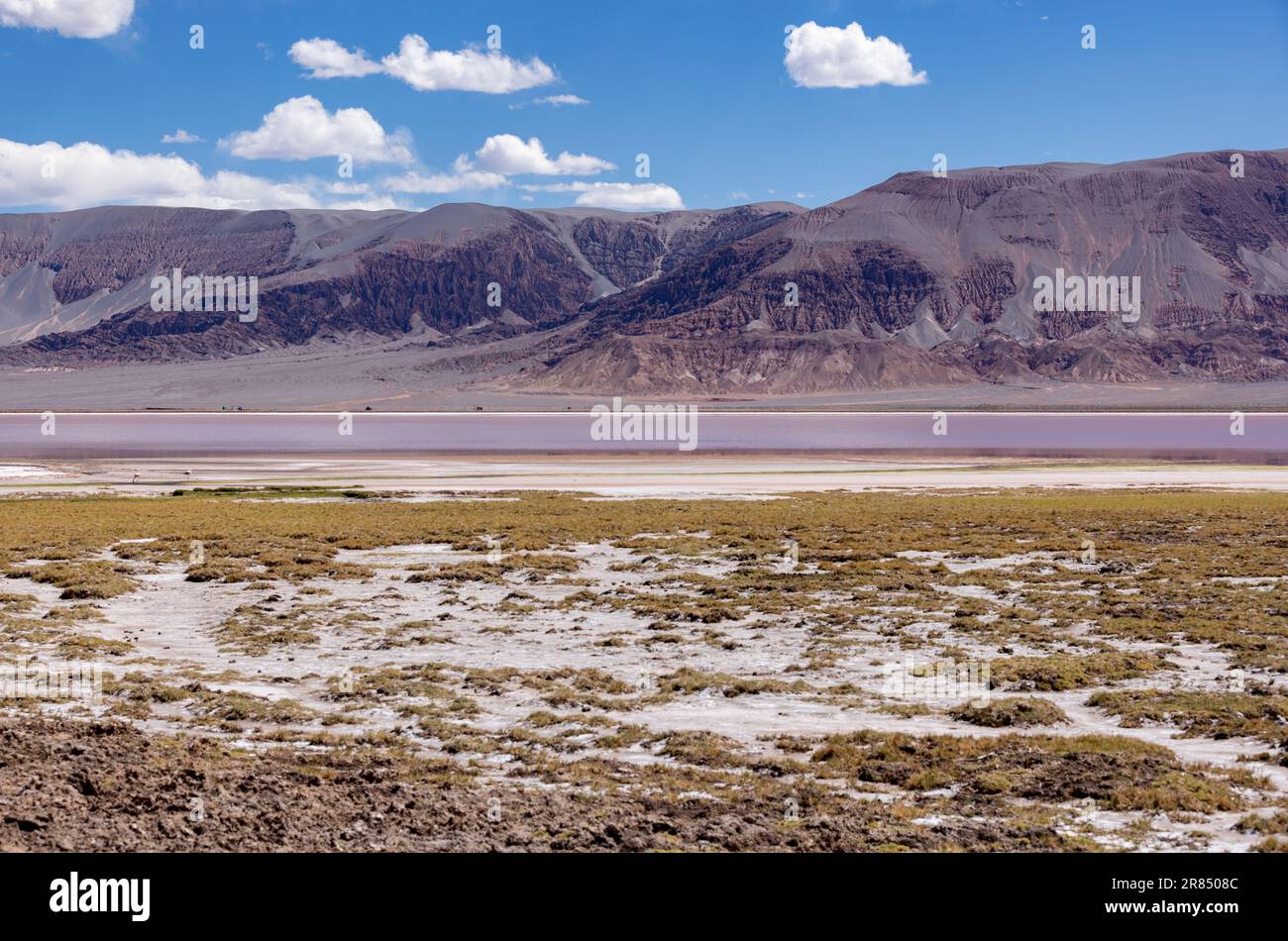 Argentinien: Puna - Offroad-Abenteuer rund um Laguna Carachi Pampa, eine surreale und wunderschöne Landschaft umgeben von vulkanischen Felsen und Sanddünen Stockfoto