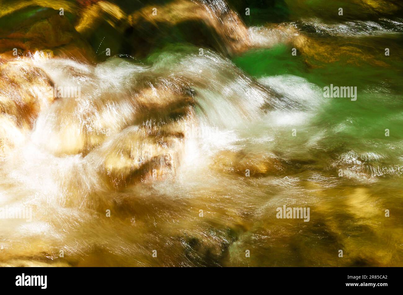Fluss eines kleinen wilden Bachs. Frisches klares Wasser fließt schnell über die Steine eines Bachs. An einem sonnigen Sommertag in einem Wald in Salzburg. Stockfoto