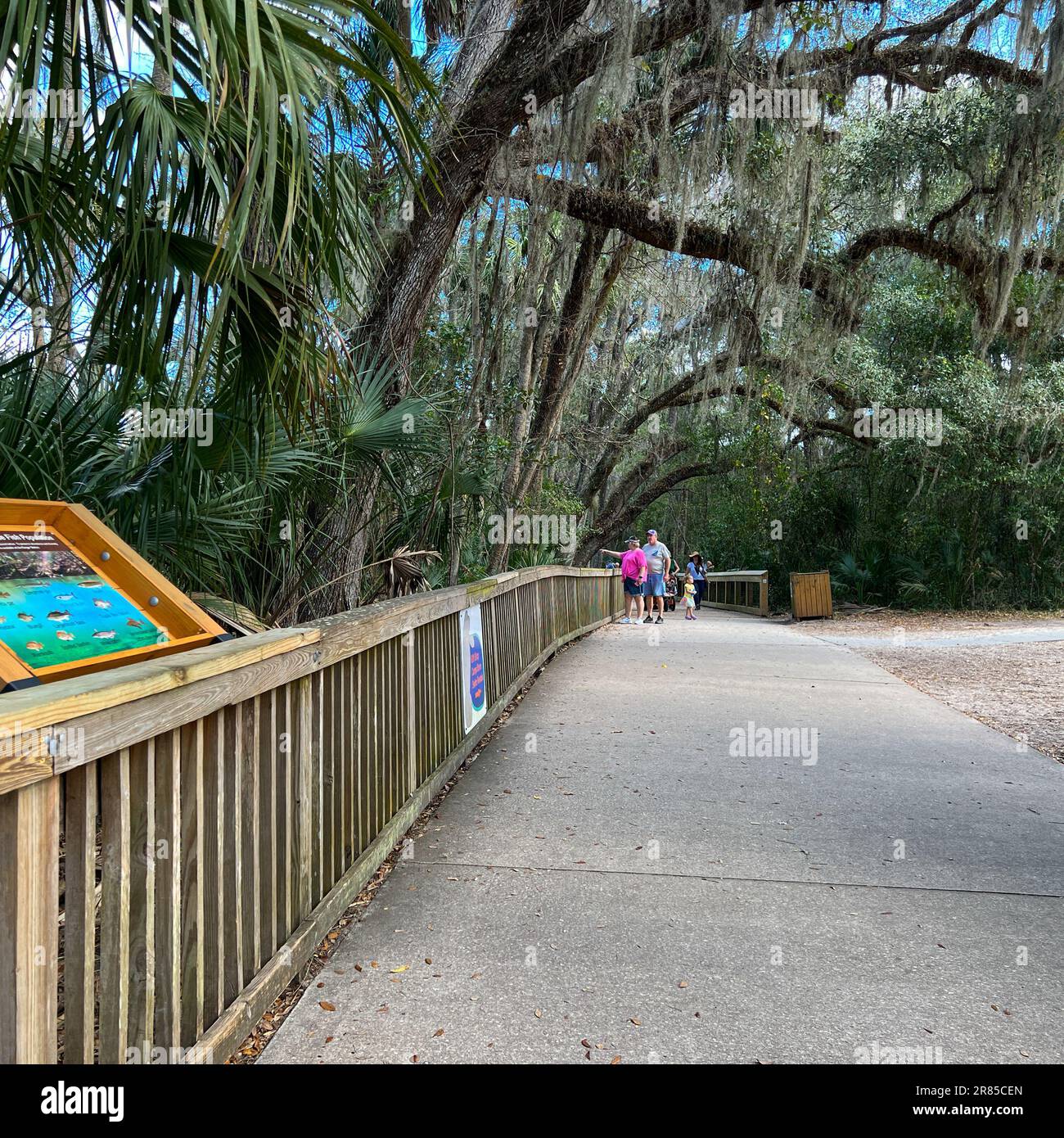 Orange City, FL USA - 4. Februar 2022: Die Promenade am Blue Springs State Park in Orange City, Florida. Am Blue Springs State Park in Orange Cit Stockfoto