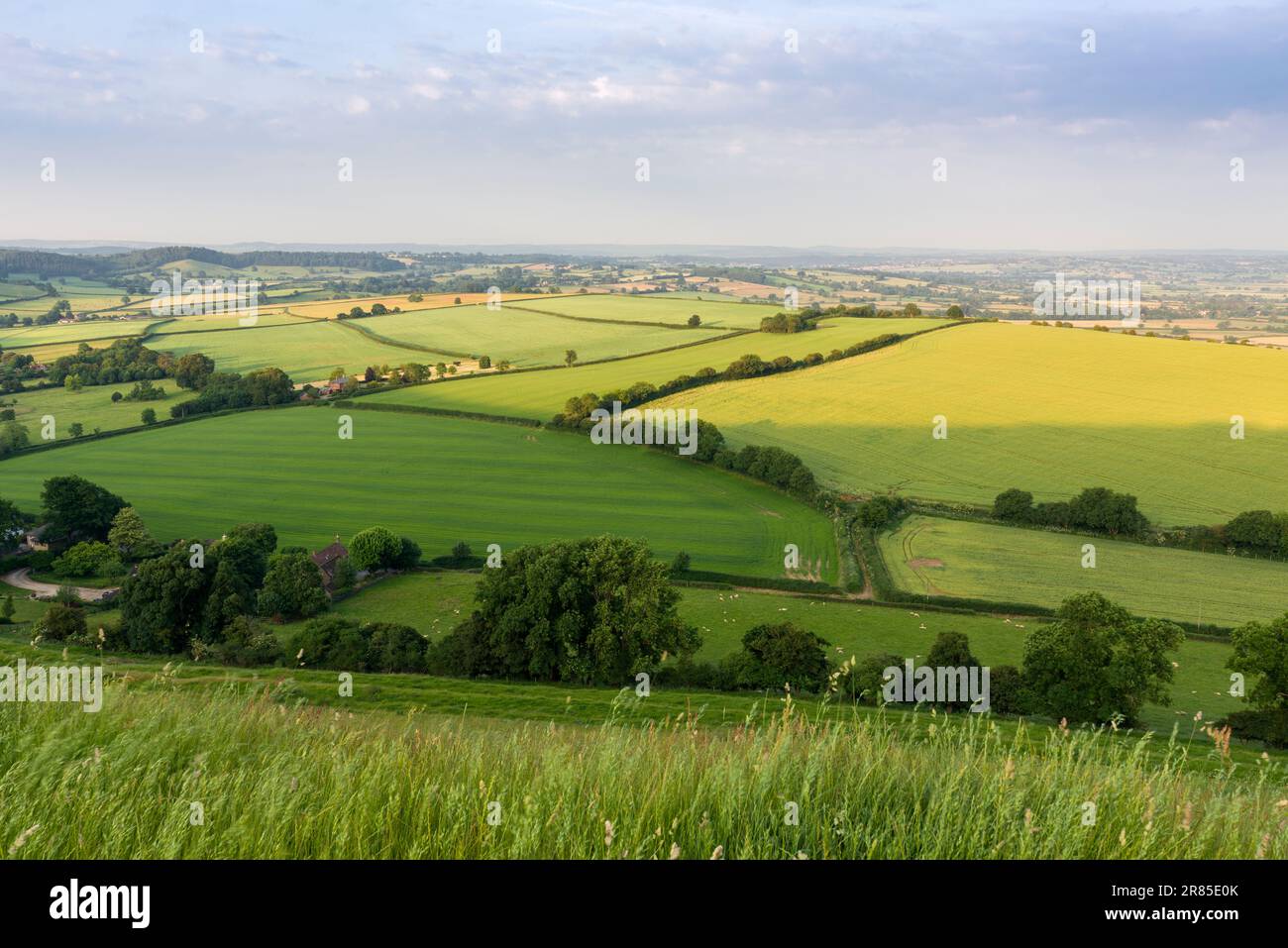 Ackerland an einem Sommermorgen aus Corton Denham Beacon, Somerset, England. Stockfoto