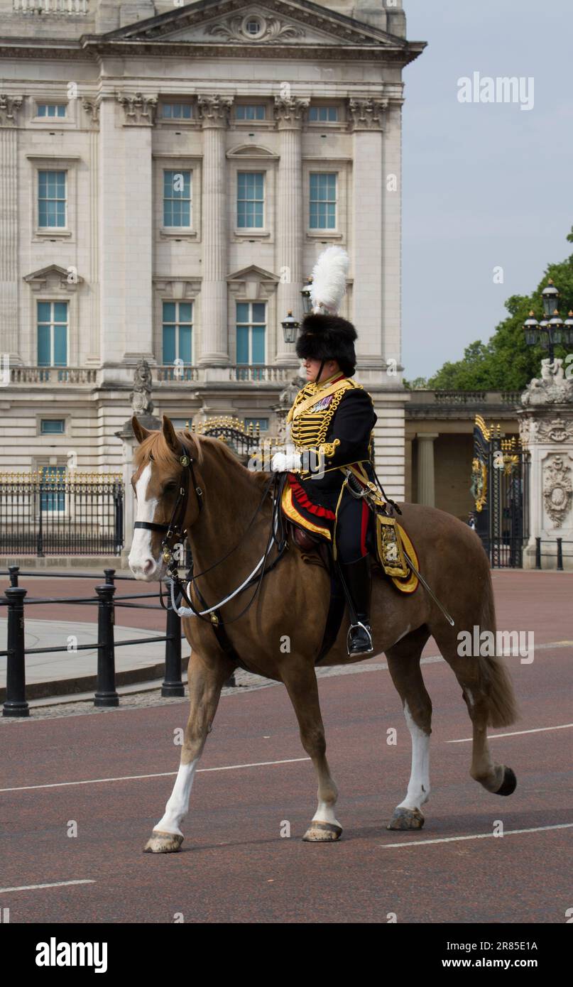 Befehlshabender Offizier Königliche Pferdeartillerie, Die Die Farbe 2023 Bekämpft Stockfoto