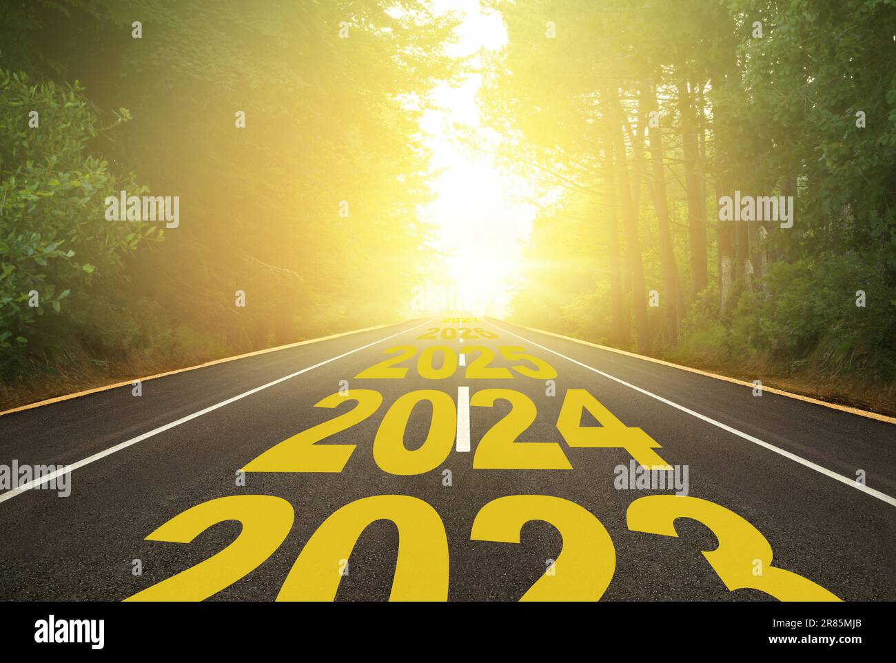 Das Wort 2024 auf einer Waldstraße. Konzept für das neue Jahr 2024-2027. Der Weg ins neue Jahr wird durch den Pfeil angezeigt. Jubiläumsvorbereitung Stockfoto