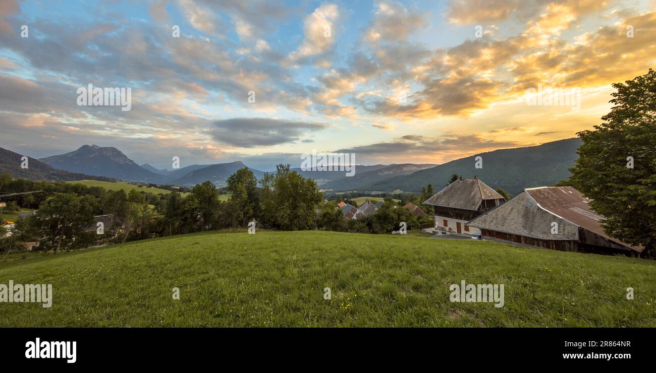 Panoramablick über die landwirtschaftliche Wiese mit französischen alpen in der Ferne, Haute Savoie, Frankreich Stockfoto