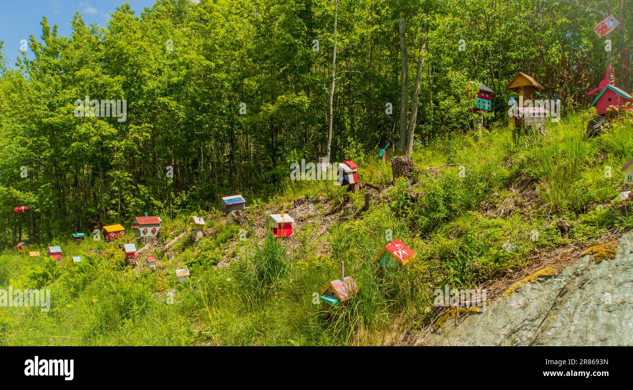 Ein Dorf mit Vogelhäusern auf einem Landhügel in Vermont Stockfoto