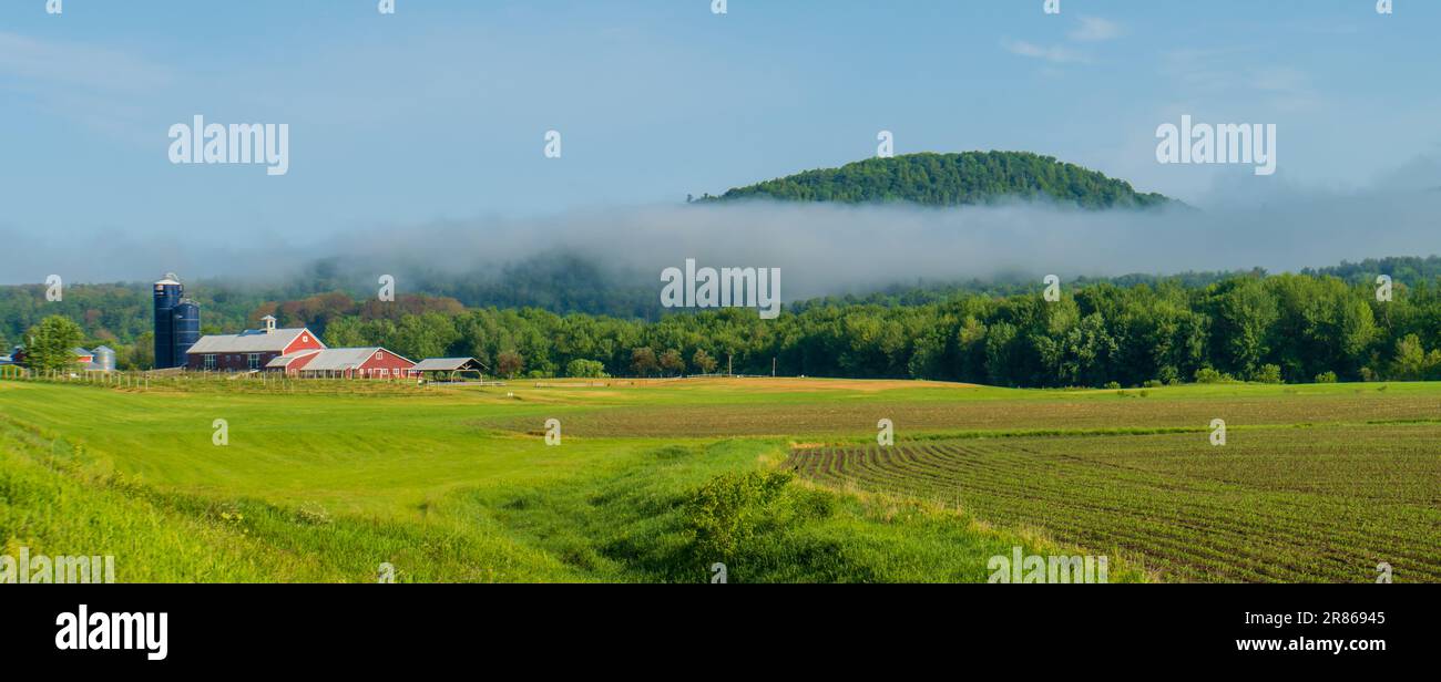 Im Frühsommer in Vermont wurden kürzlich Maisfelder gepflanzt Stockfoto