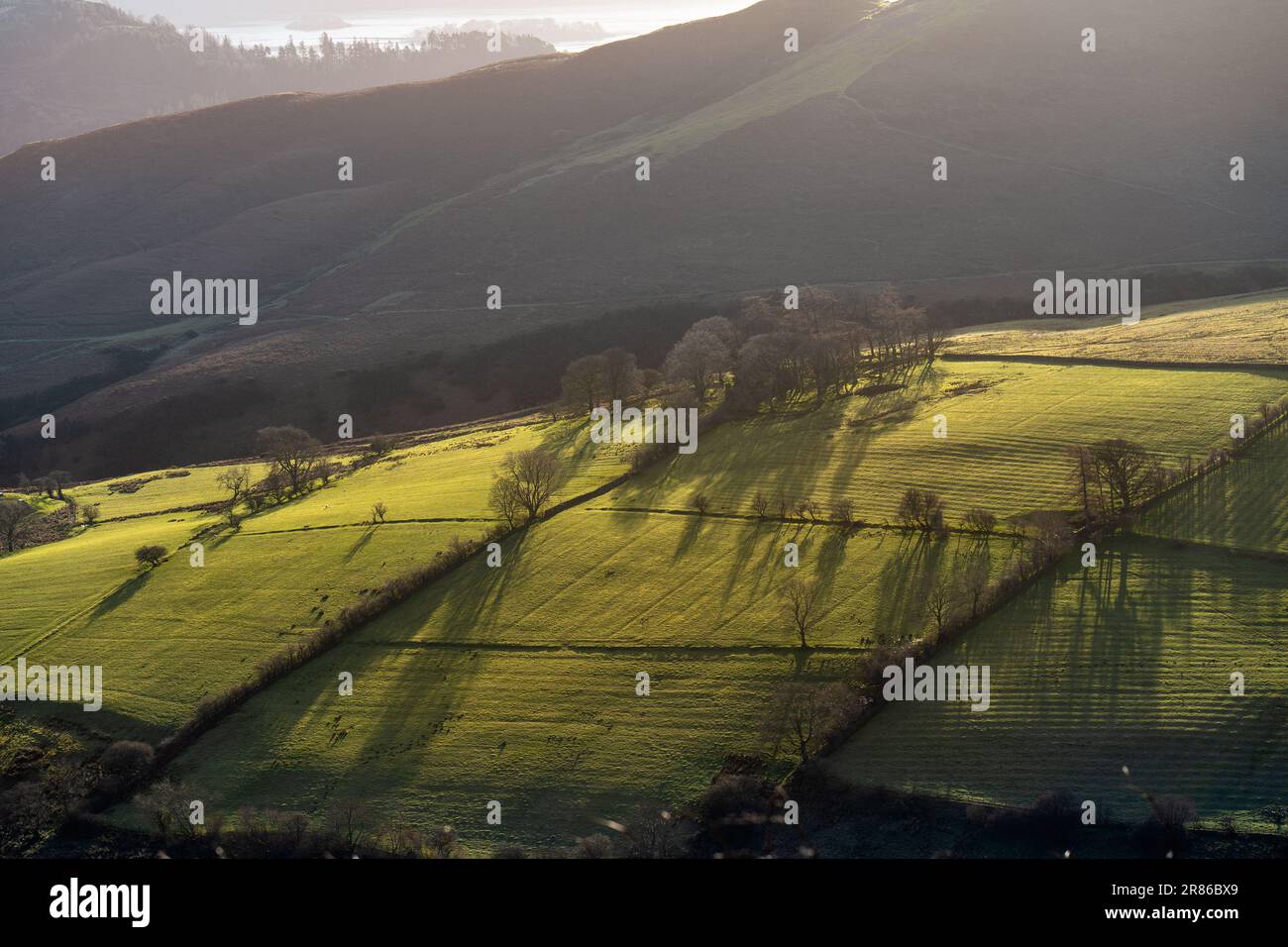 Vom Pfad nach Grisedale Pike zu den sonnigen Weiden in Coledale Beck bei Sonnenaufgang im Winter im englischen Lake District, Großbritannien. Stockfoto