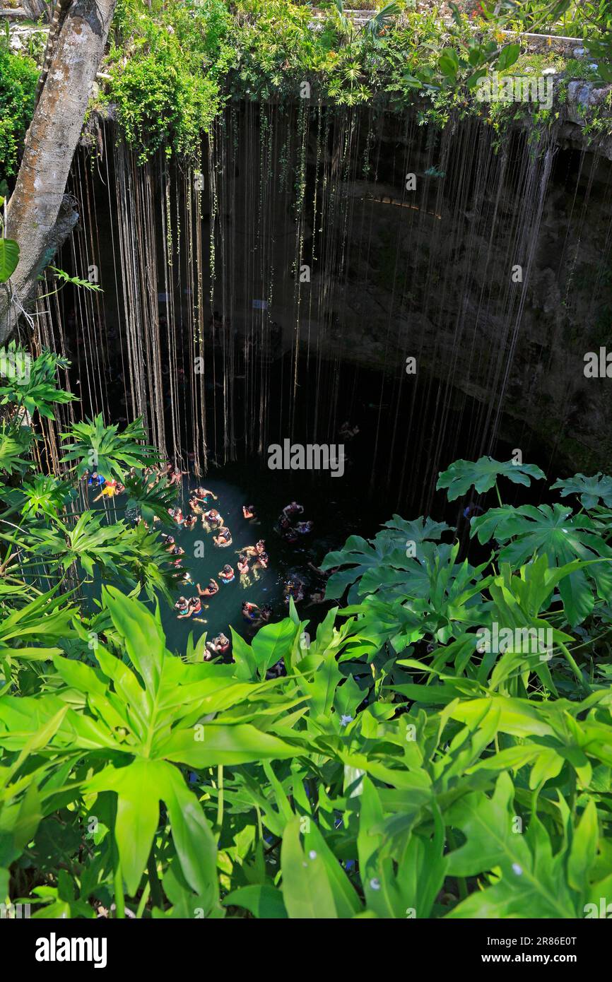 Touristen schwimmen im heiligen Ik Kil Cenote in der Nähe von Piste, Yucatan, Yucatan Halbinsel, Mexiko Stockfoto