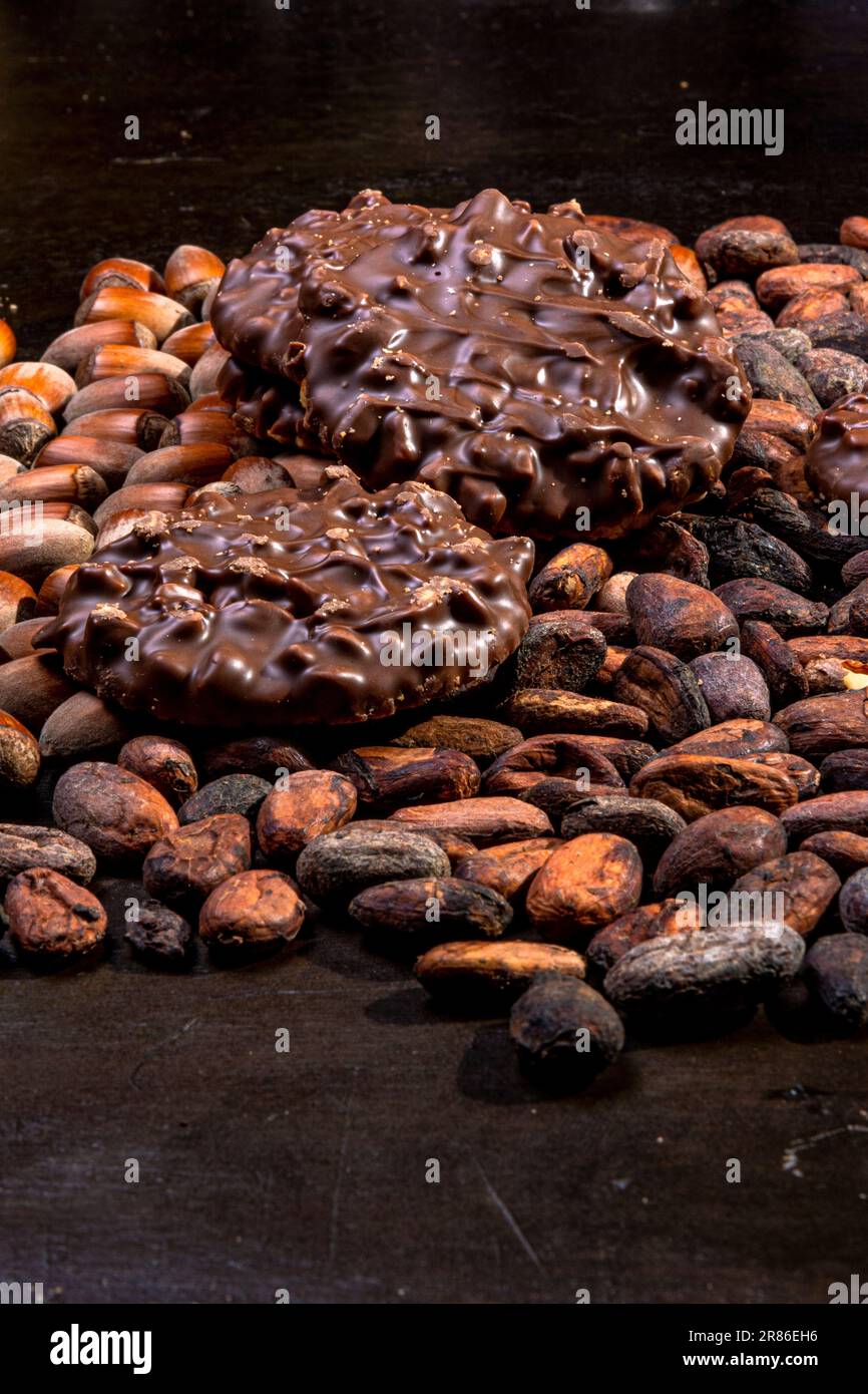 In Schokolade getauchte Kekse und Haselnussstücke, Zusammensetzung mit Kakaobohnen. Studiofoto mit dunklem, handbemalten Hintergrund. Stockfoto