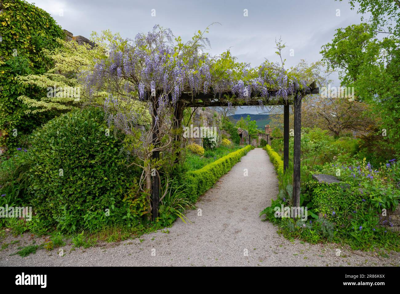 Ruthin Castle (Castell Rhuthun) Hotel in der Stadt Ruthin im Tal von Clwyd, Nordwales. Stockfoto
