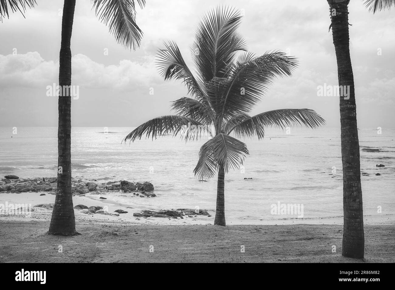 Schwarzweißfoto eines tropischen Strands. Stockfoto