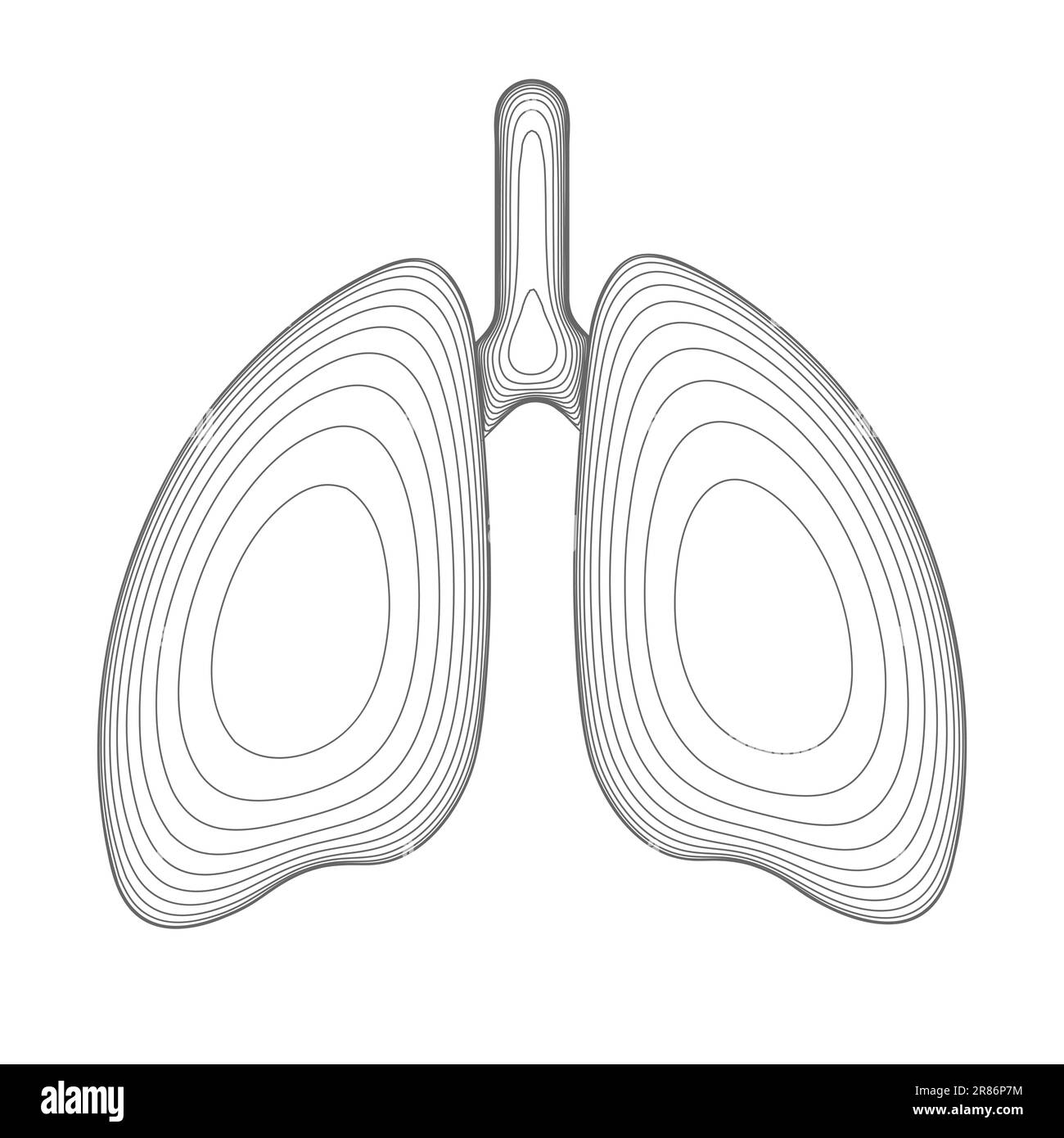 Menschliche Lungen ausgekleidete Drahtmodelle. Vorderansicht mit Luftröhre. Vektordarstellung. Stock Vektor