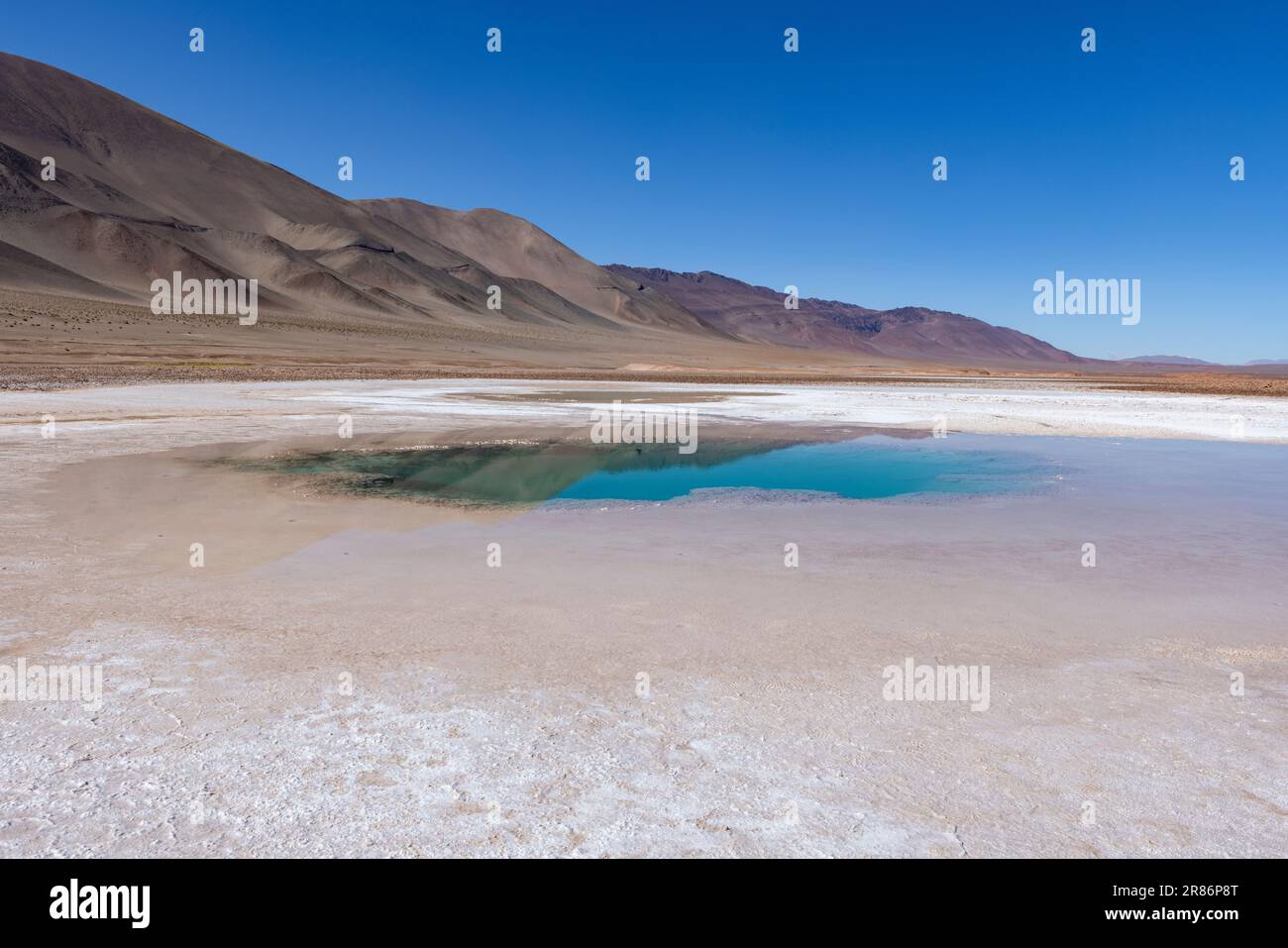 Besuchen Sie die berühmte Touristenattraktion Ojos del Mar in der Nähe von Tolar Grande im argentinischen Hochland Puna auf Ihrer Reise nach Südamerika Stockfoto