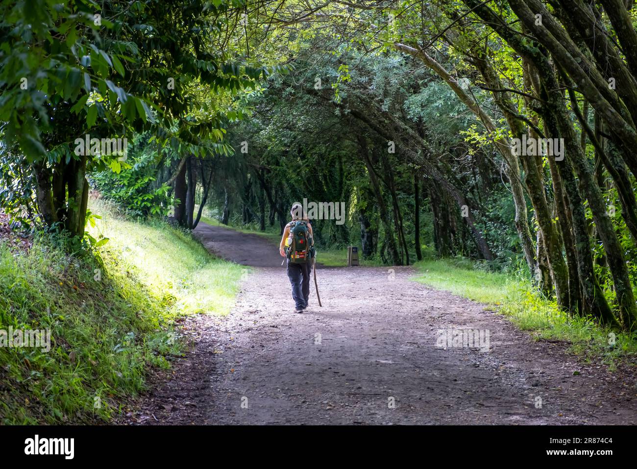 Eine junge Pilgerin, die auf dem Weg des heiligen james spaziert. Camino de Santiago Stockfoto