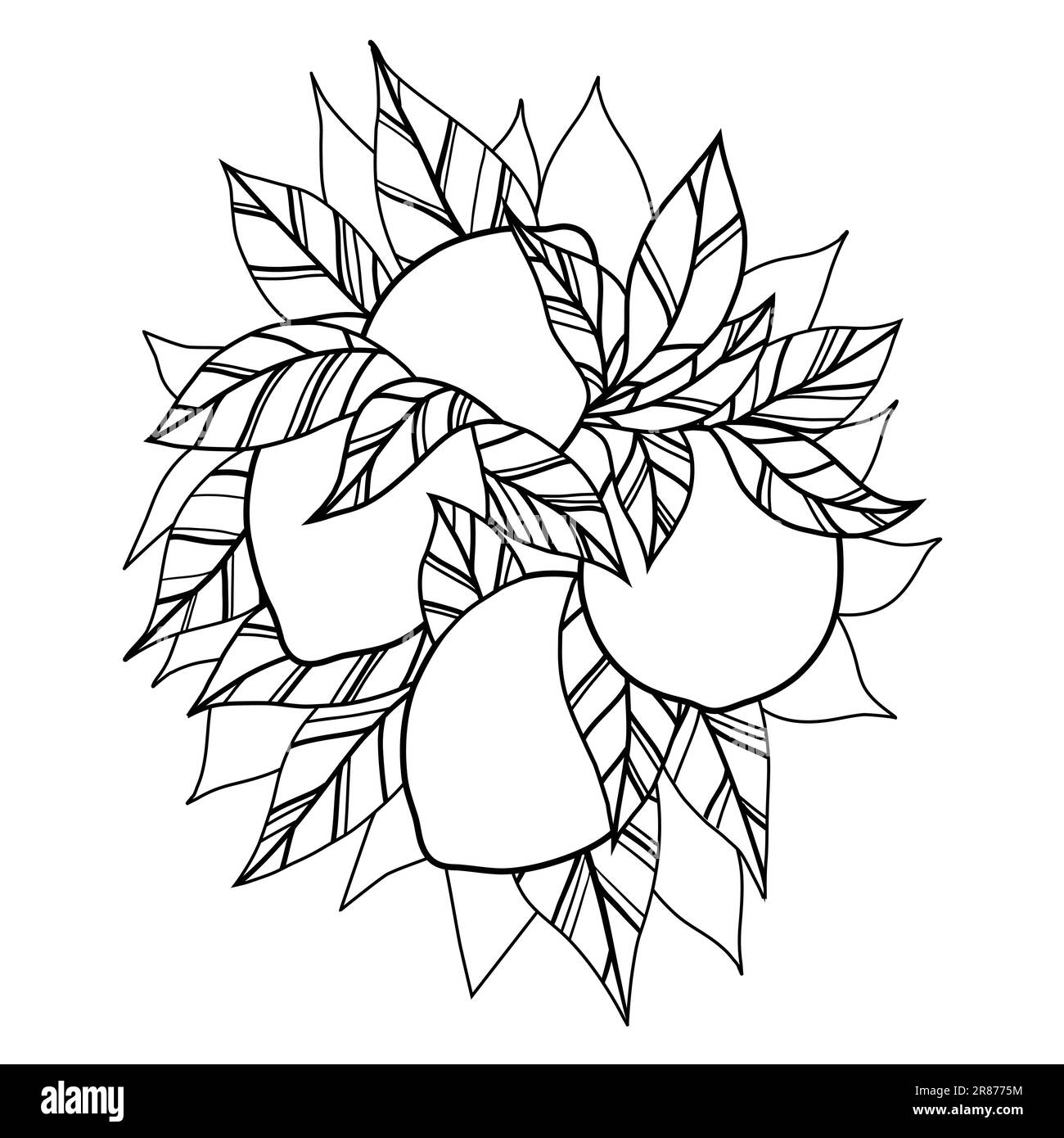 Von Hand gezeichnete monochrome, vom Hintergrund isolierte Clipart-Zitrusfrüchte. Vektorkonturdarstellung eines Bandes Zitronen mit Laub. Bild Stock Vektor