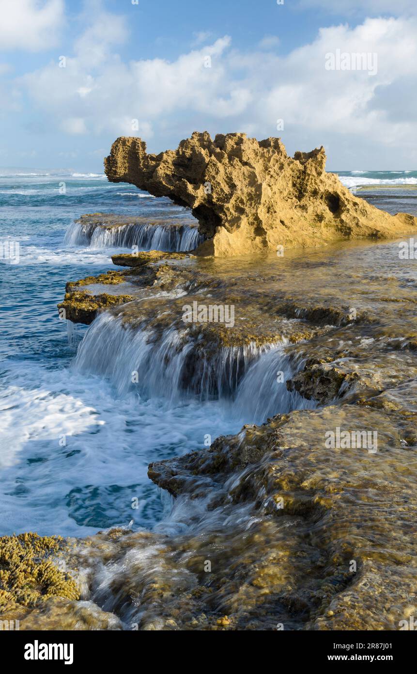 Dragon Head Rock auf der Mornington Peninsula ist bei Ebbe ausgesetzt und ein beliebter Ort für lokale Fotografen. Stockfoto