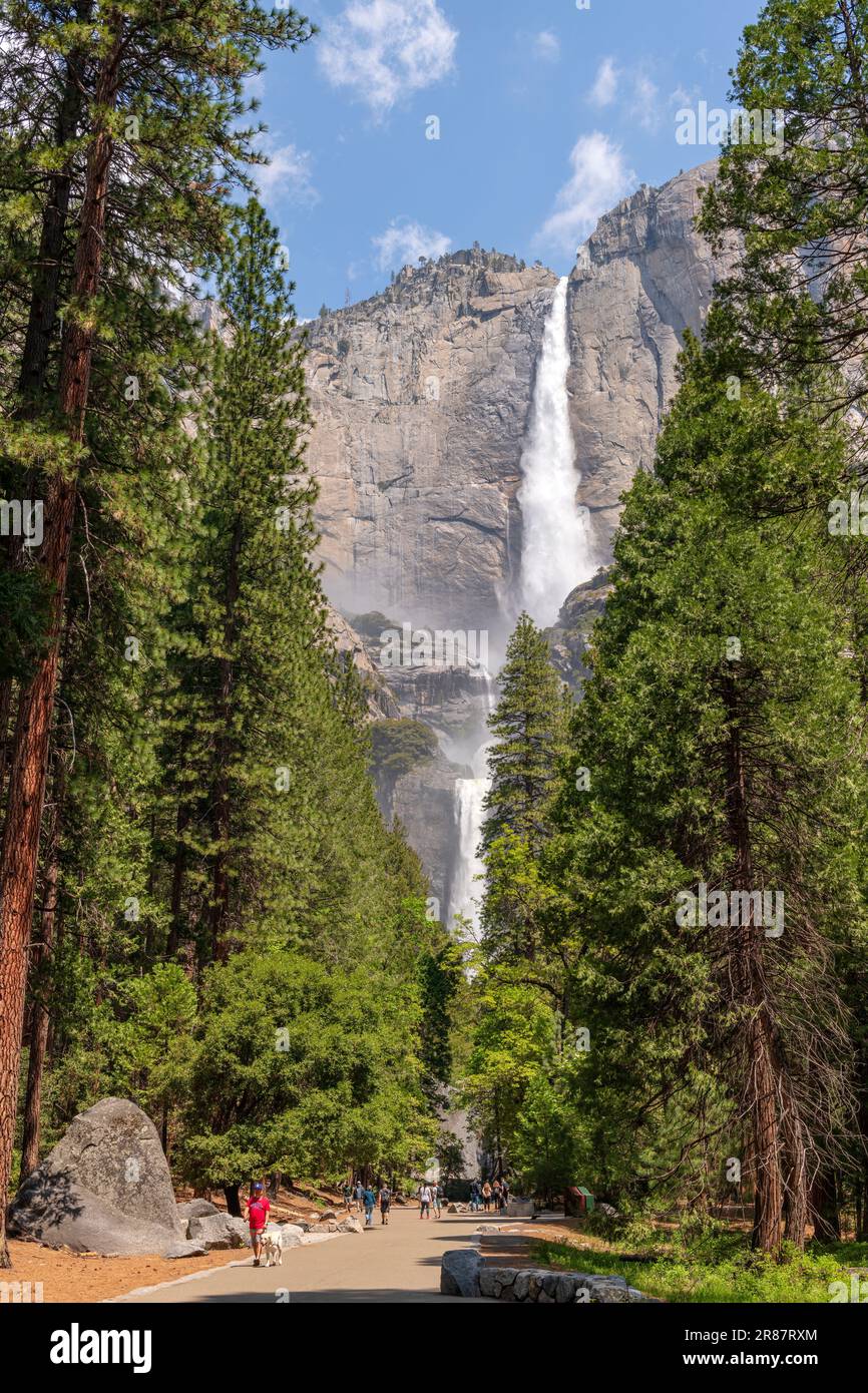 Der Yosemite-Nationalpark Bridal Falls im Bundesstaat Kalifornien. Stockfoto