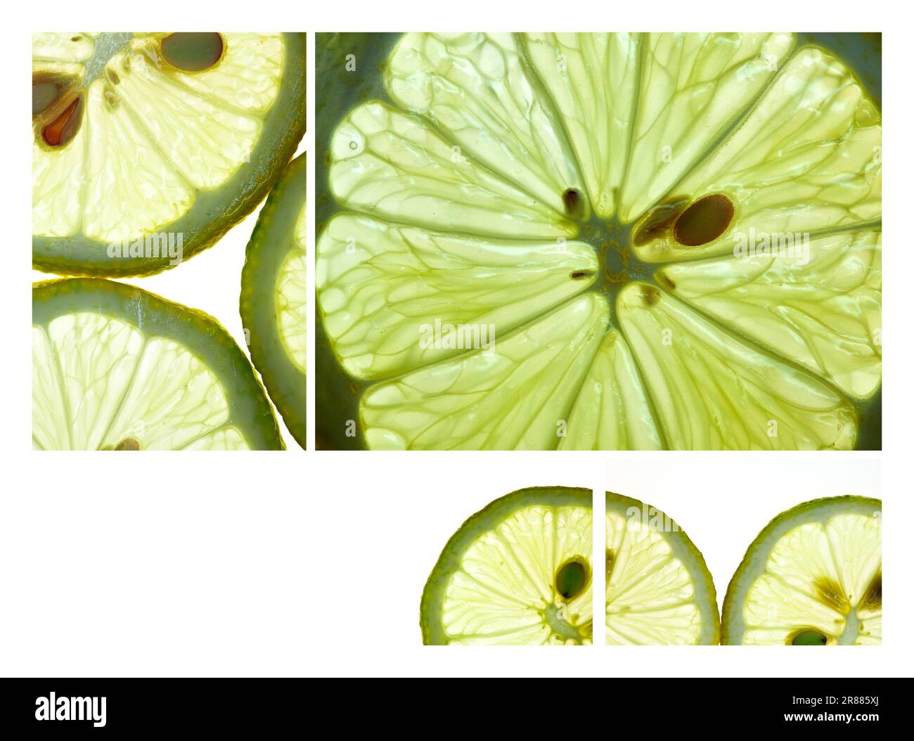Zitronenscheiben auf weißem Hintergrund mit Hintergrundbeleuchtung Stockfoto