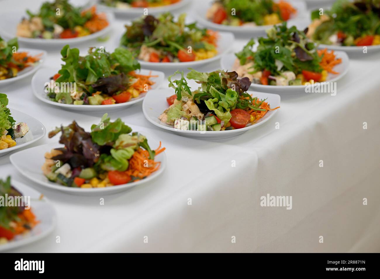 Mehrere gemischte Salatplatten, Salat, Vorspeise, fertig auf dem Tisch, Buffet, Biberach, Baden-Württemberg, Deutschland Stockfoto