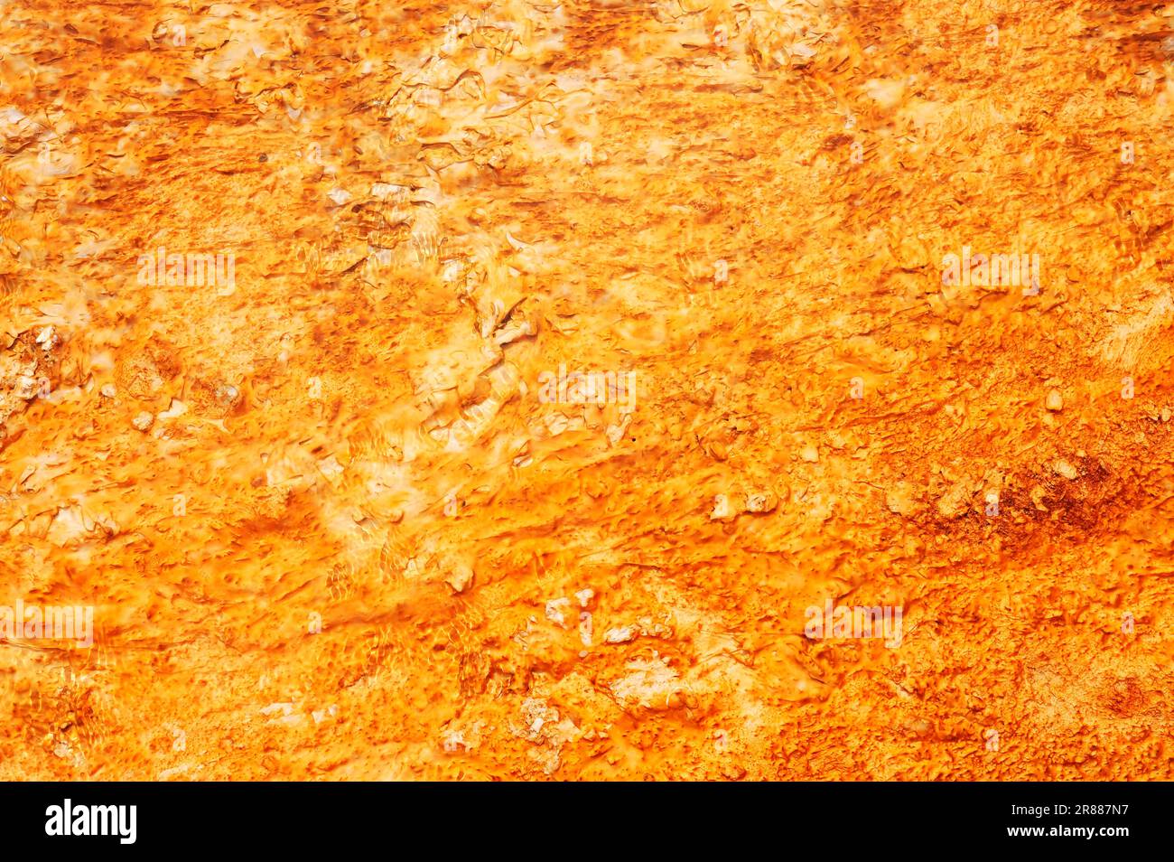 Algen- und Bakterienmatten und Mineralablagerungen an heißen Quellen, Bakterienmatten, Midway Geyser Basin, Yellowstone-Nationalpark, Wyoming, USA Stockfoto