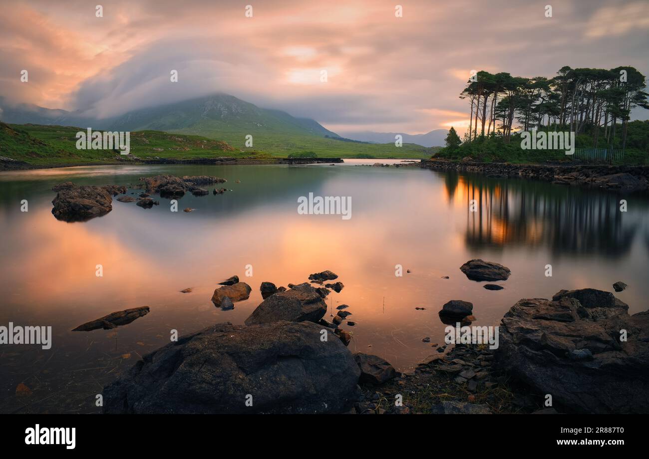 Wunderschöne Landschaft am Seeufer bei Sonnenaufgang mit zwölf Pinien im Wasser, umgeben von Bergen in Derryclare, connemara National Park in County Galway, Irland Stockfoto