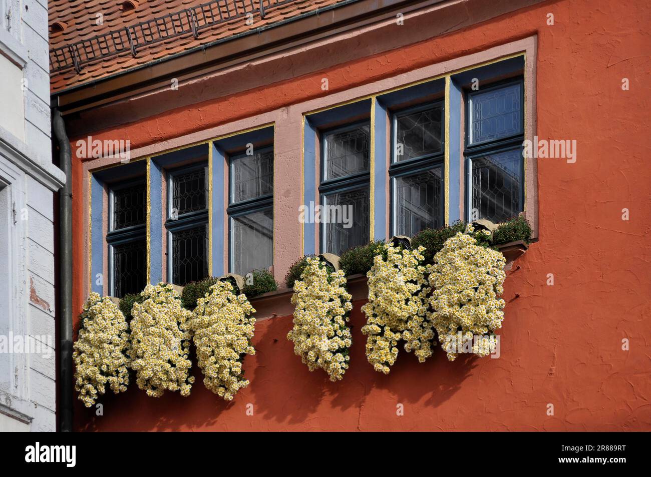Chrysanthemen am Fenster, altes Rathaus mit Außentreppe, Chrysanthemen