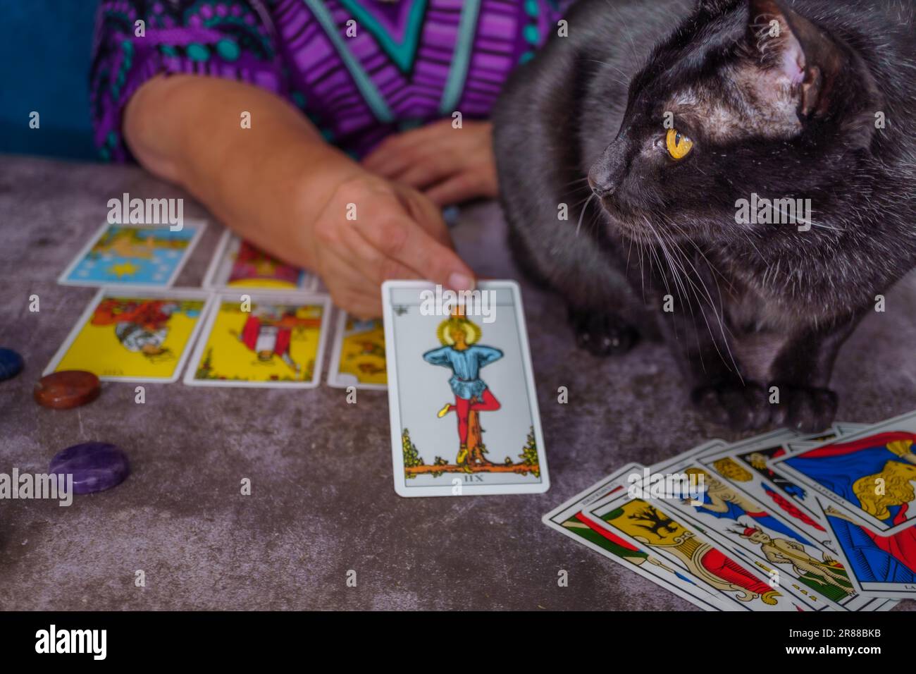Wahrsager liest Tarotkarten mit einer schwarzen Katze auf dem Tisch auf dem Tisch weiße Kerzen Stockfoto