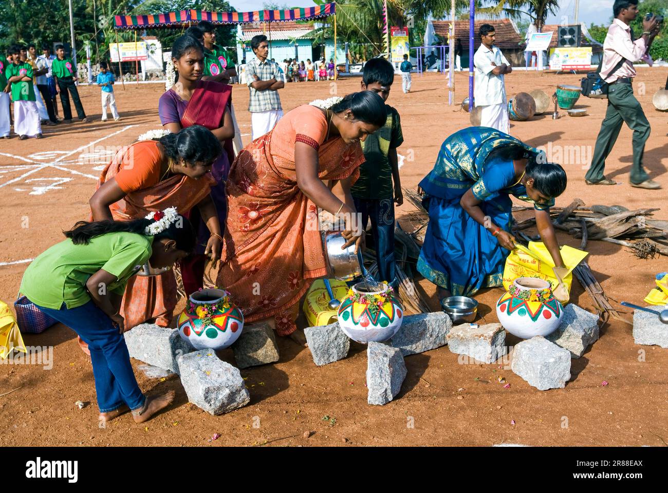 Women Performing Pongal Celebration in Pollachi, Tamil Nadu, Südindien, Indien, Asien Stockfoto