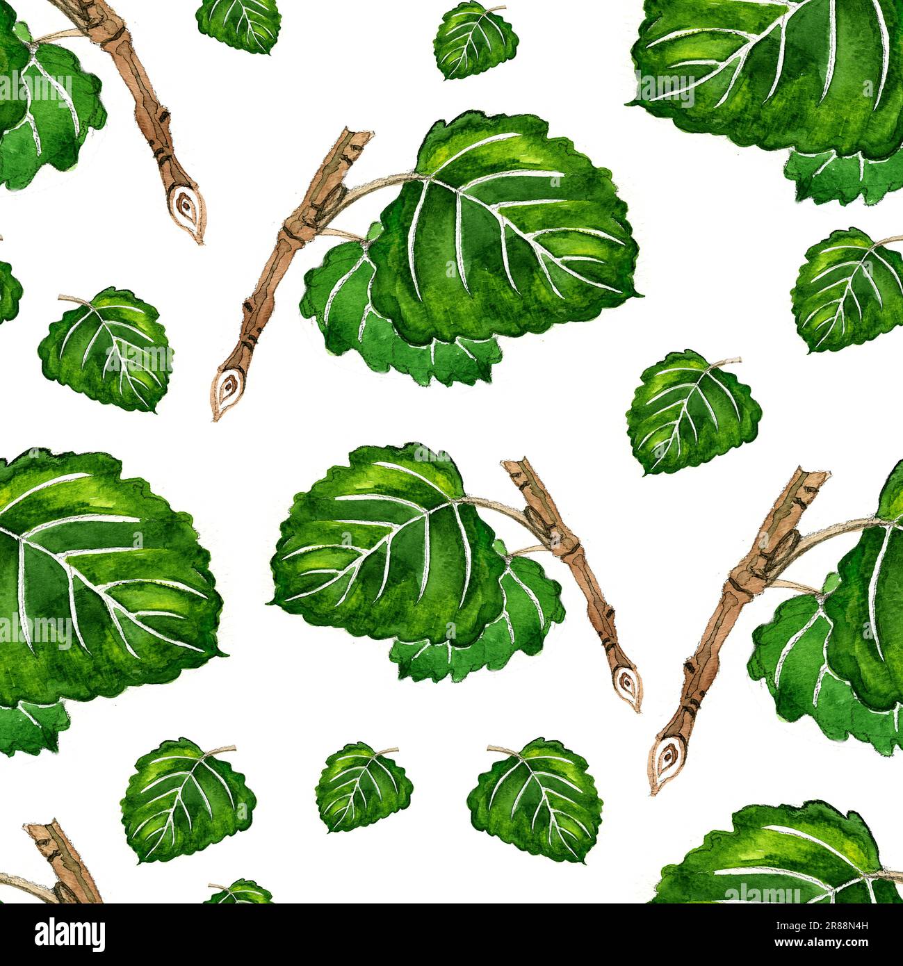 Aquarelle Aspen Botanisches Muster auf weißem Hintergrund. Stockfoto