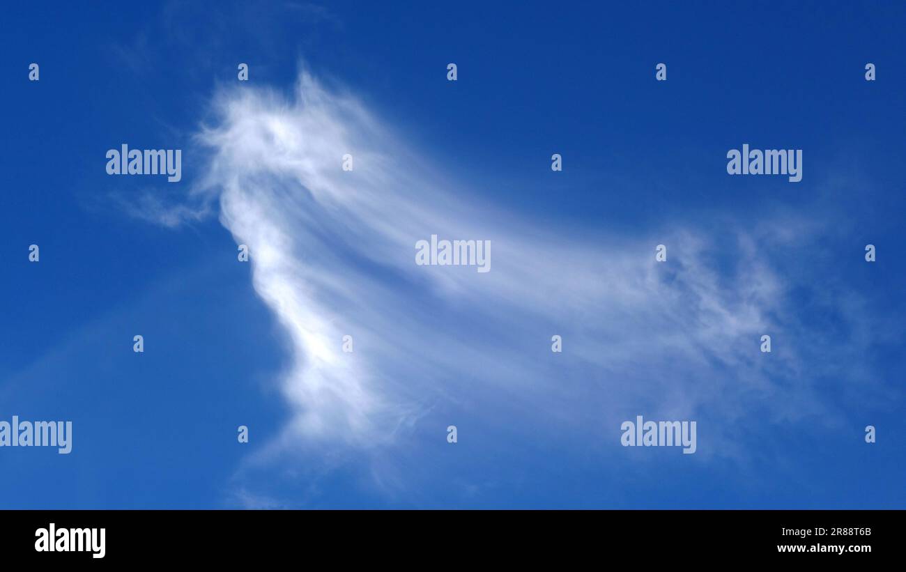 Weiße Zirruswolke am blauen Himmel Stockfoto