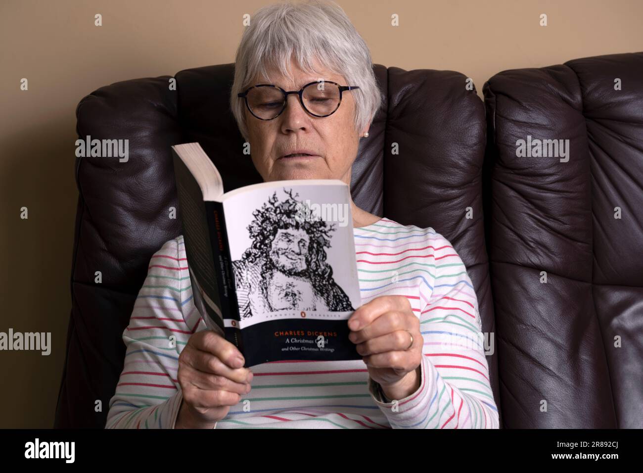 Die Dame liest zu Hause ein Taschenbuch Stockfoto