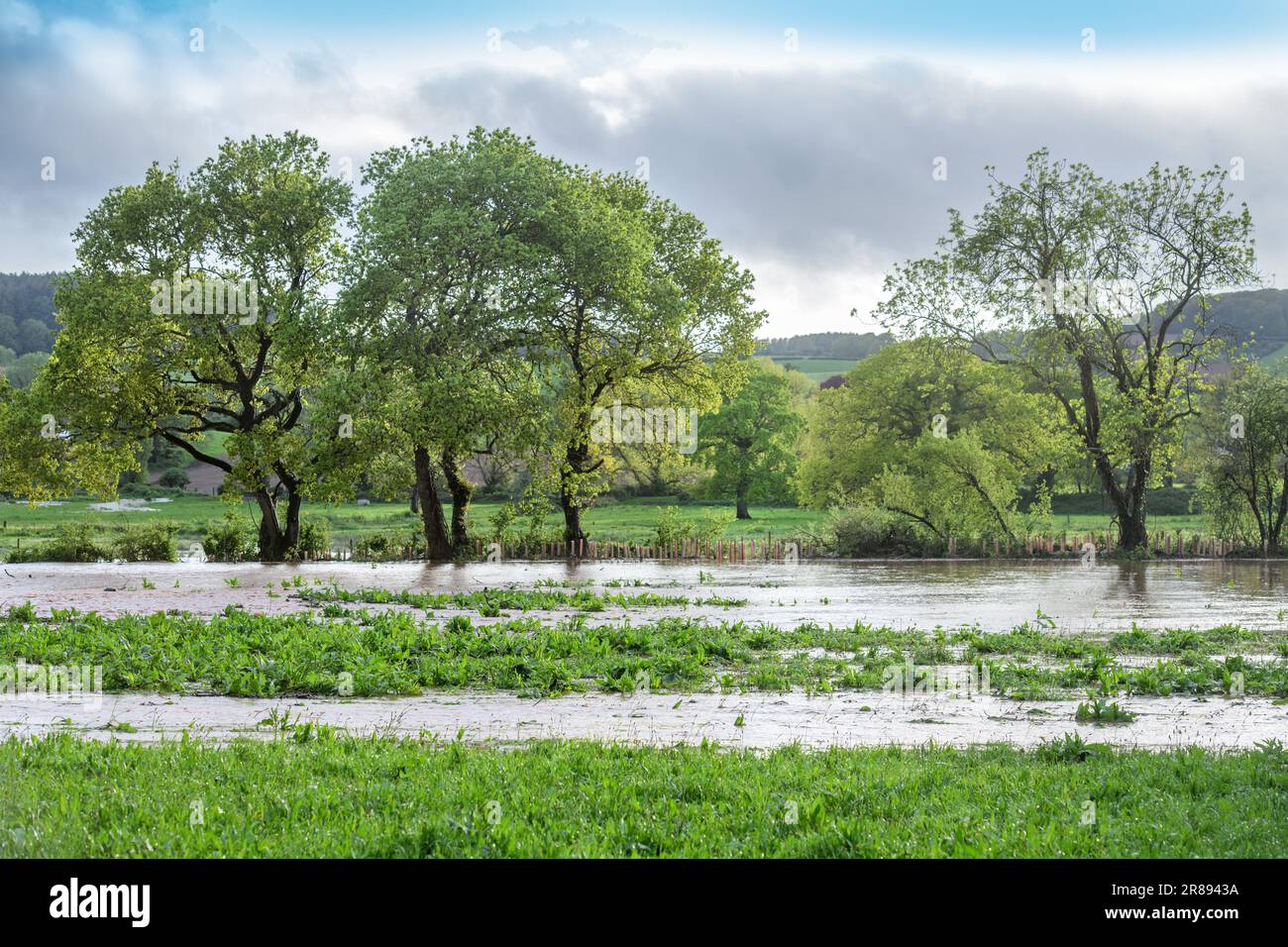 Die Überschwemmungszone des Otter bei Otterton, Devon, Großbritannien. Stockfoto