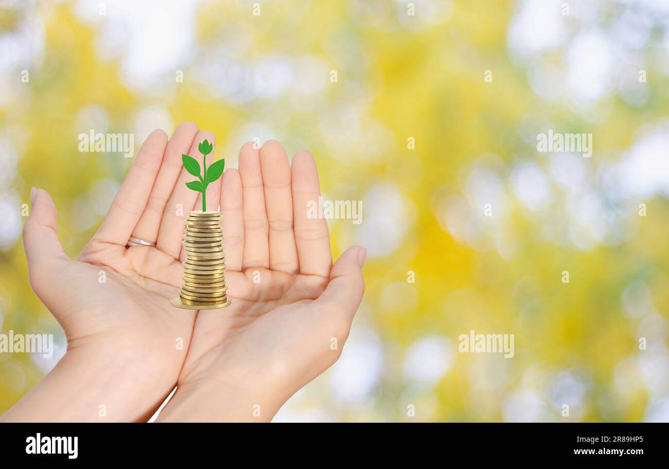 Weibliche Hand öffnet Münzen und grünen Baum auf Palmen, Wachstum des Finanzvermögens Geschäftskonzept Stockfoto
