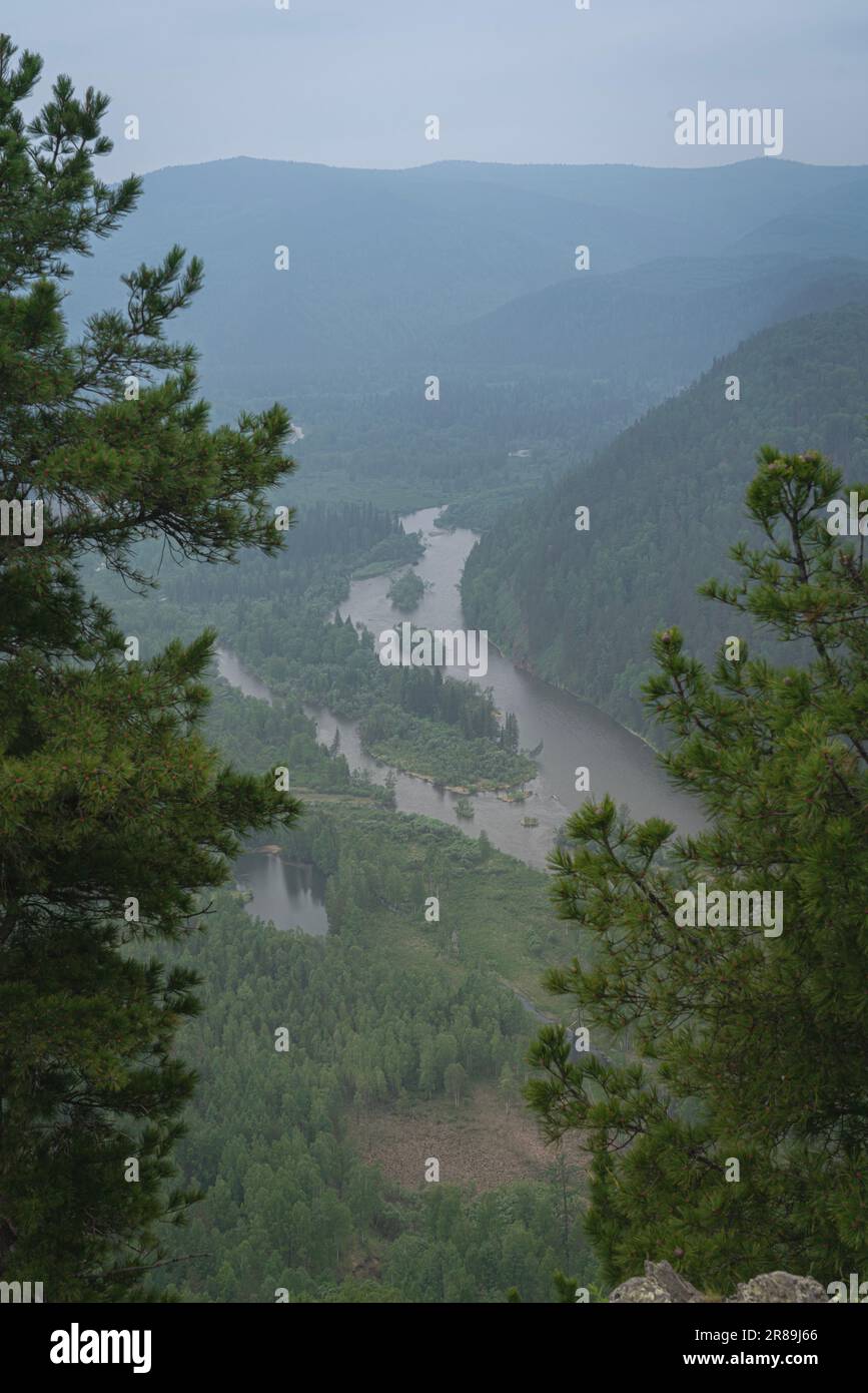 Blick auf den Fluss im Nebel zwischen den grünen Hügeln und Tannenzweigen. Vertikale Fotografie Fluss und majestätische Natur. Stockfoto