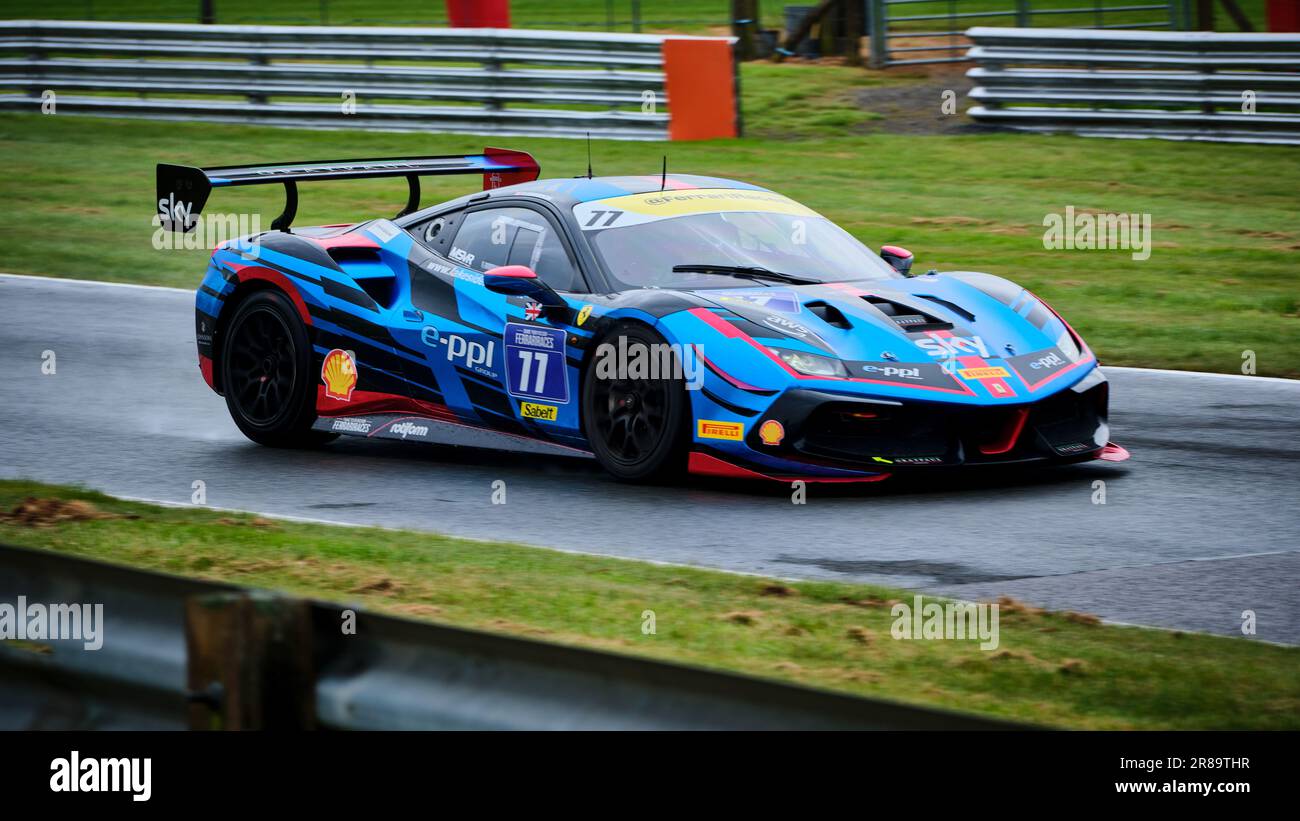 Ferrari Challenge Rennwagen während der Qualifikation in einem feuchten Oulton Park im Jahr 2023 Stockfoto