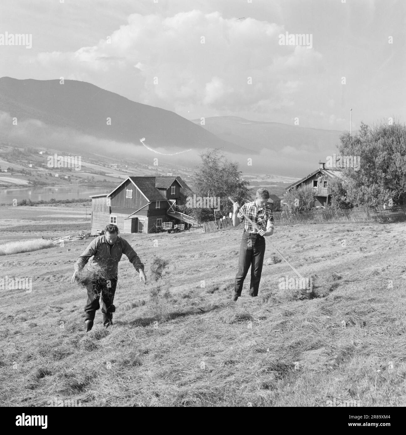 Derzeit 39-4-1960: Bauernstudentin des Tigerstaden Student Lars Ramstad wird vom Bergdorf Skjåk in die Betonblöcke in Oslo verpflanzt. "Hart", sagt er, "aber es wird funktionieren." Lars wird die köstliche Skjåk für fünf oder sechs Jahre verlassen, aber zuerst muss das Haus besiegt werden. Foto: Ivar Aaserud / Aktuell / NTB ***FOTO NICHT ABGEBILDET*** Stockfoto