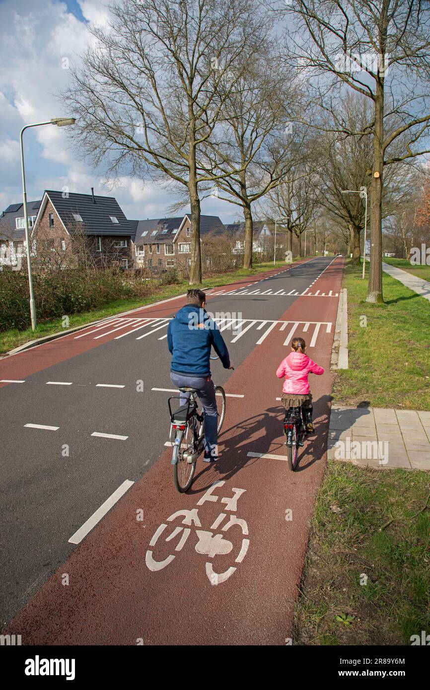 Niederlande, Arnheim - eine Durchgangsstraße ist für Autos in der Mitte und für Fahrräder in zwei Seitenspuren unterteilt. Ein Vater und seine Tochter reiten Hure Stockfoto