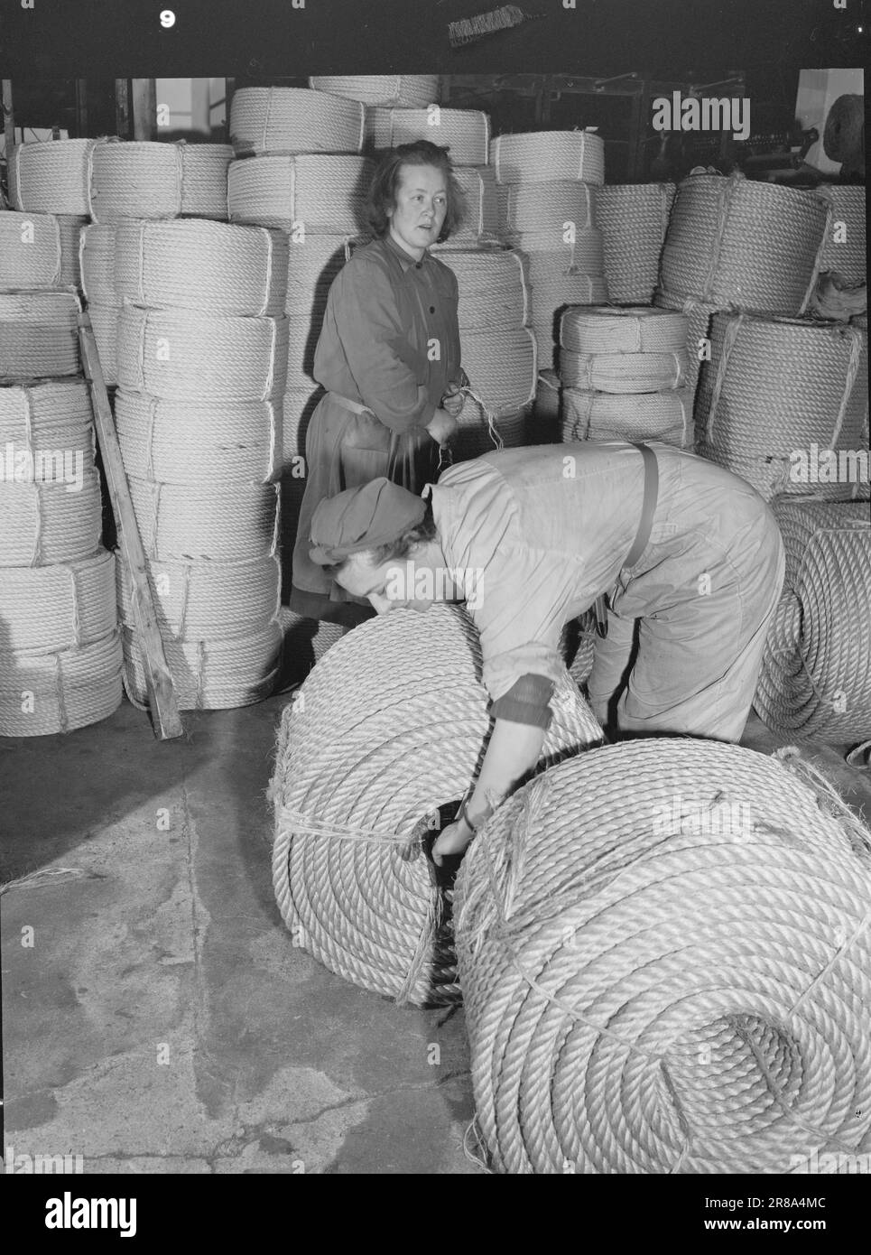 Tatsächlich 08-1950: Von Stahl und HempFew Menschen, die einen Aufzug betreten, haben Angst davor, auf dem Weg herunterzufallen, und dafür gibt es auch keinen Grund. Das Hubwerk hängt sicher in seinem Stahlseil. Die Konstruktion des Drahtseils basiert auf einem alten Prinzip: Zusammengehörigkeit macht stark. Das Stahlseil im Aufzug besteht aus vielen dünnen Einzelsträngen, die einzeln nicht besonders stark sind, aber wenn die Kräfte diszipliniert und zusammengewickelt werden, erreicht das Endprodukt eine Stärke, die der Summe der einzelnen Stränge annähernd entspricht. Das Stahlseil ist für eine Vielzahl von Anwendungen geeignet. Er wird für Barbesuche und Schiffe verwendet Stockfoto